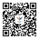 hibet Vision Plus Capital